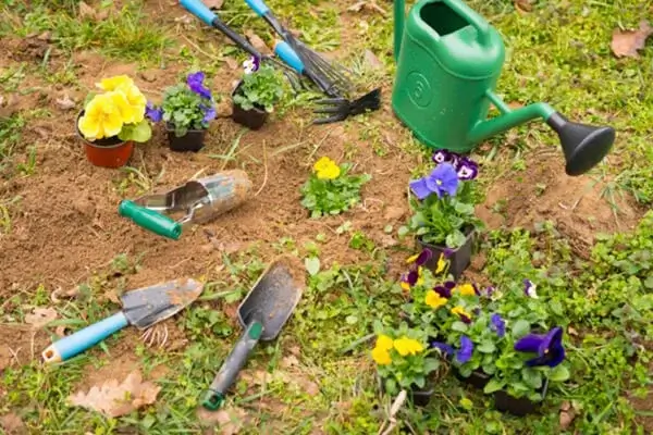 Commercial and Residential Lawn Care Service