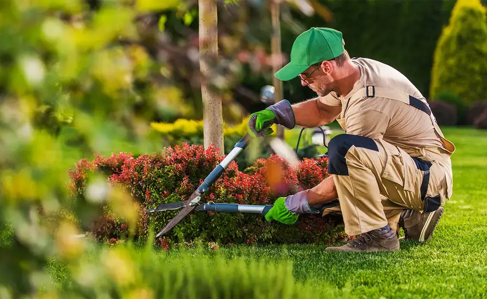 Reliable Landscaping Services