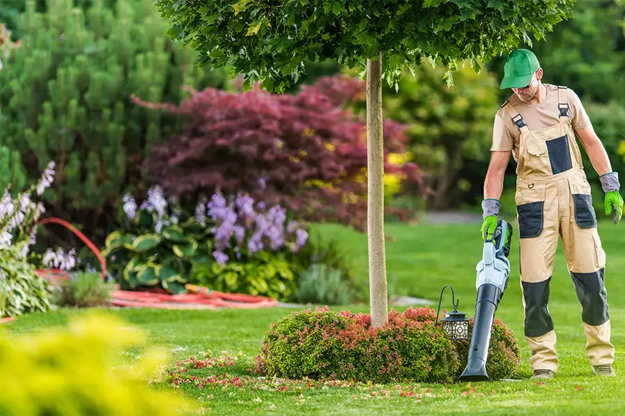 Expert Landscaping Services